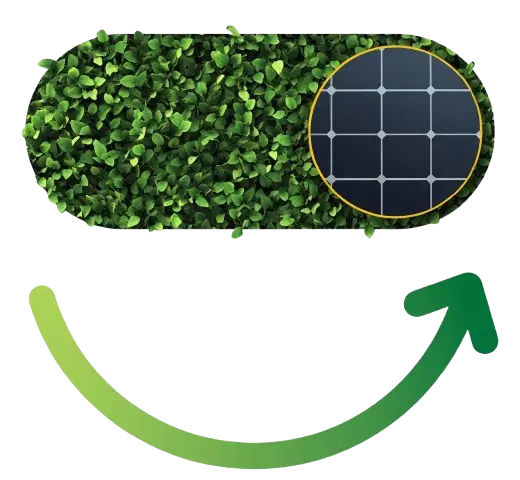 switch image